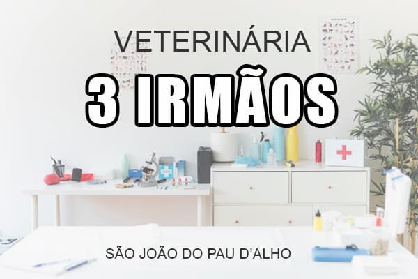 Parceiro Veterinária 3 Irmãos